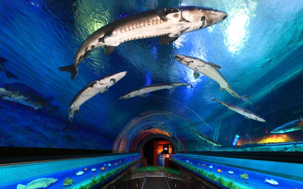 ocean park hong kong-3 ocean park hong kong-3