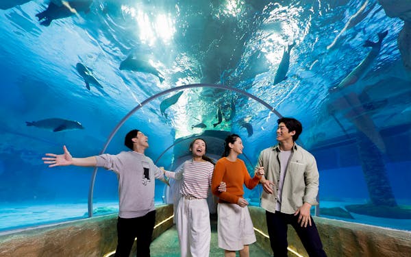 Ocean Park Hong Kong Headout