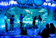 SEA Life Sydney Aquarium