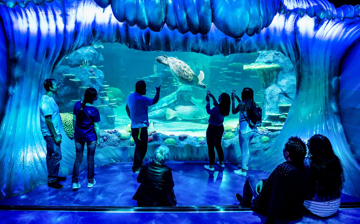 SEA Life Sydney Aquarium