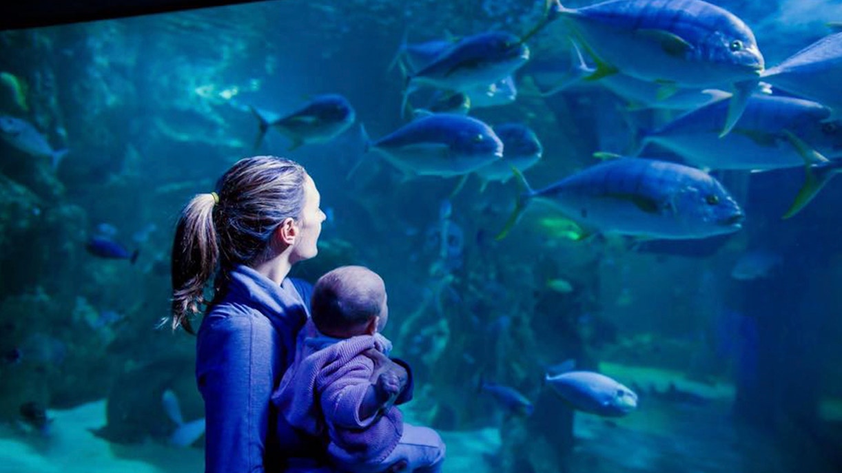 sea life sydney