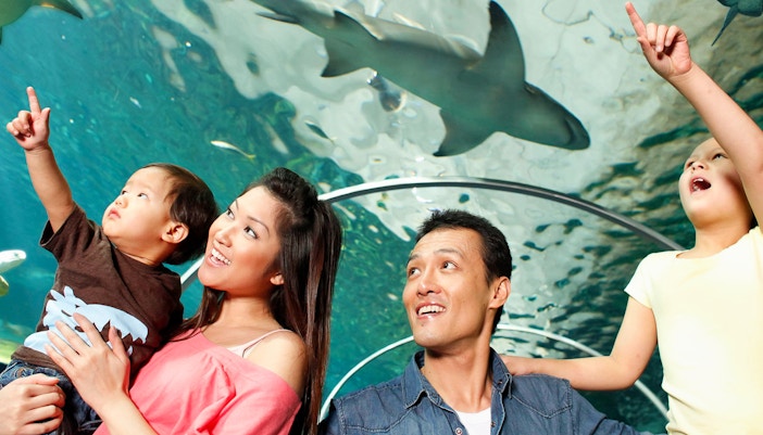 Family in shark tunnel at SEA LIFE Sydney Aquarium, Australia.