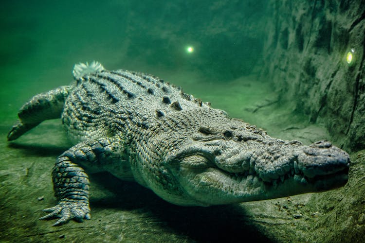 Melbourne Zoo activities