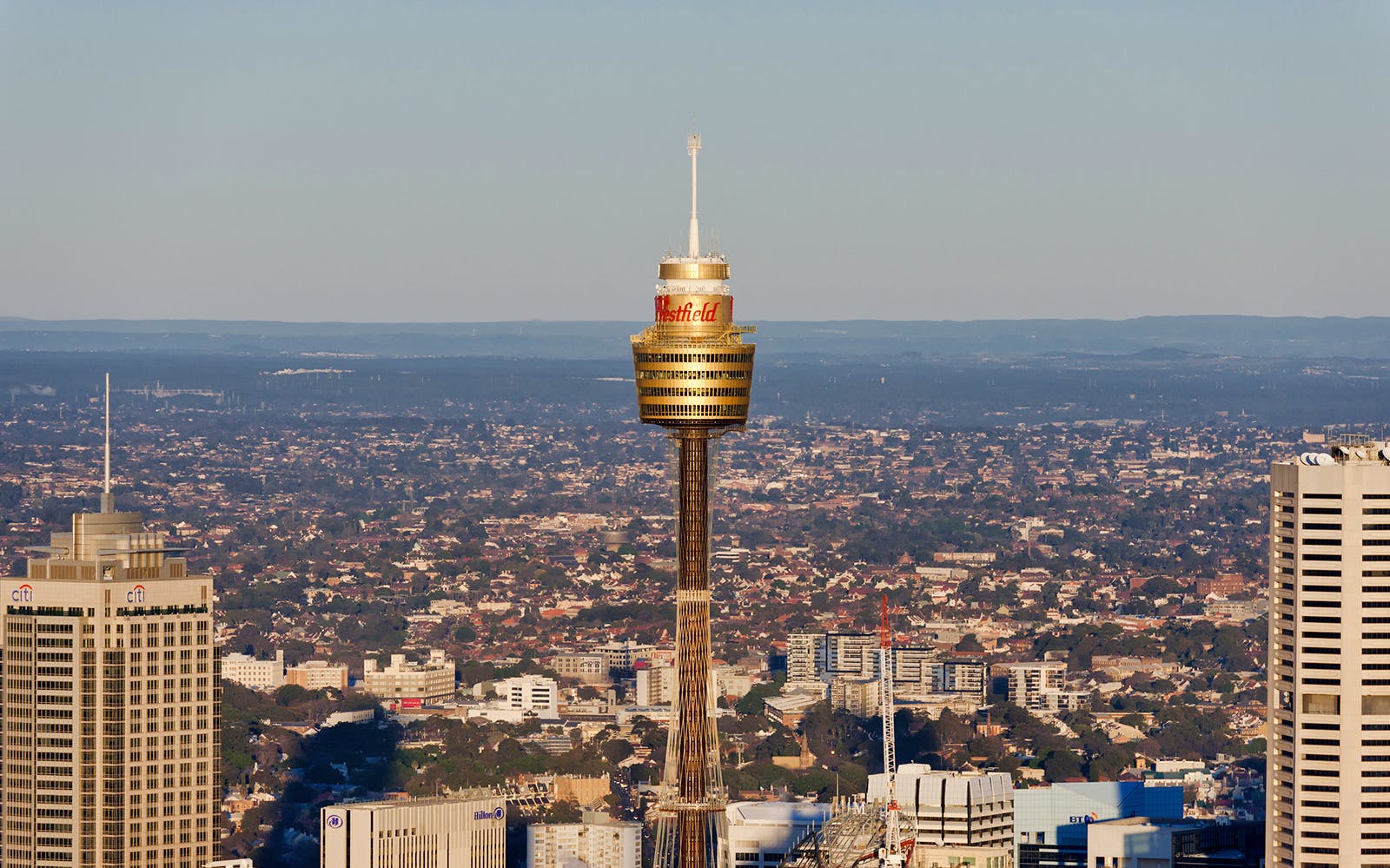 sydney tower observation deck