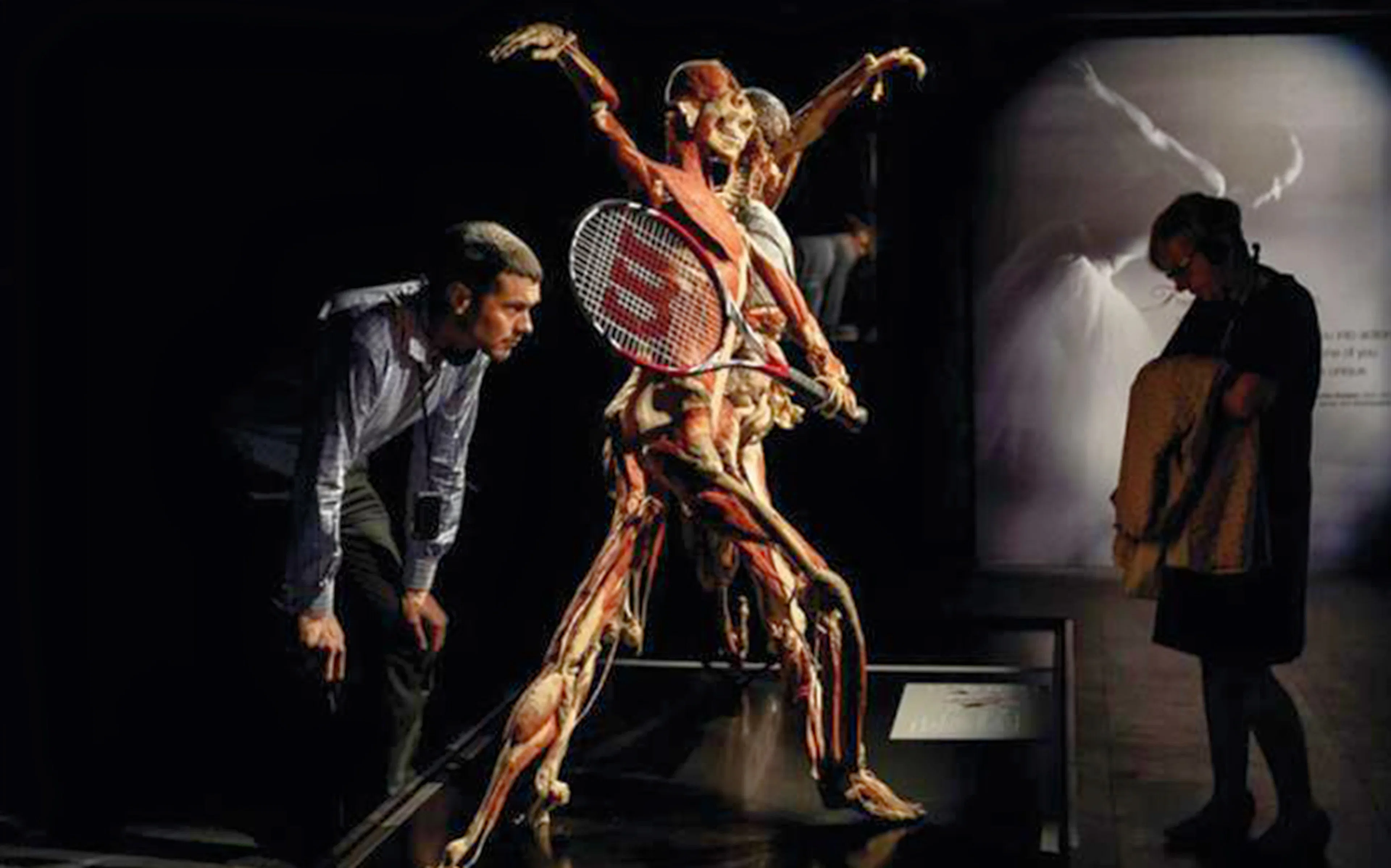 Human anatomy exhibit with tennis racket at Body Worlds London.