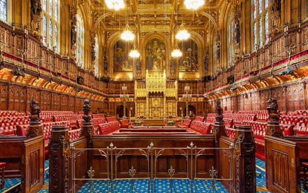 Ornate chamber interior of UK Parliament, featuring red leather benches and intricate woodwork.