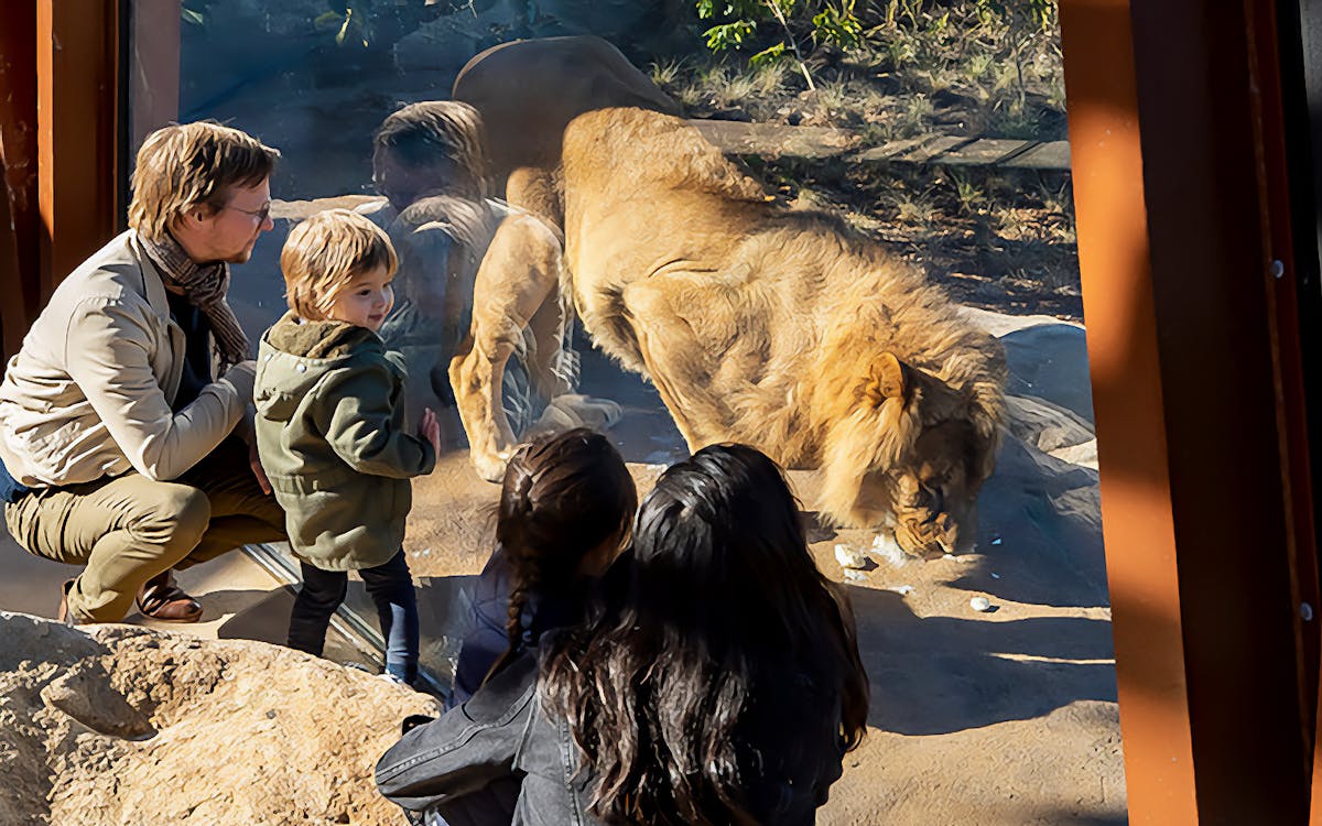 taronga zoo entry ticket-4 taronga zoo entry ticket-4