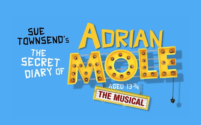 Sue Townsend's The Secret Diary of Adrian Mole Aged 13 3/4 The Musical logo