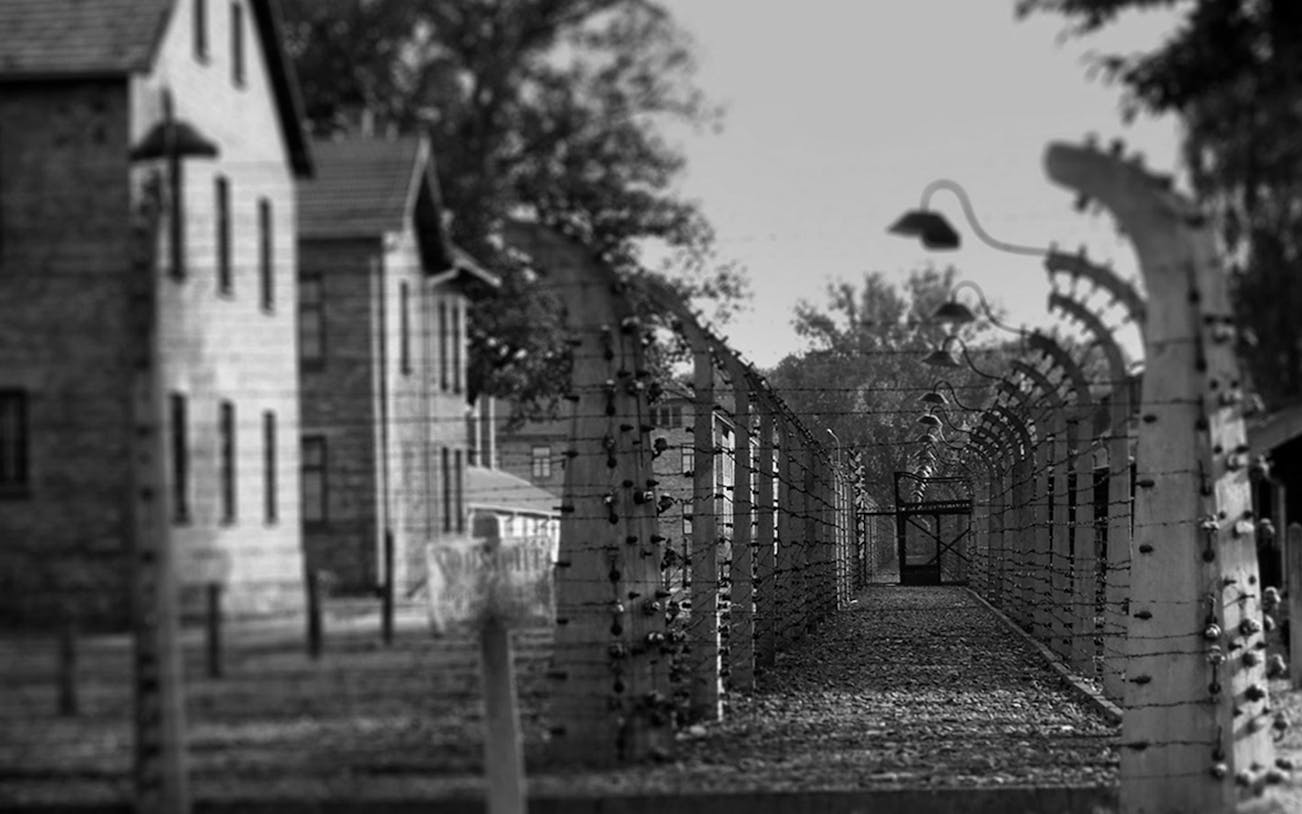 Barbed wire fence and buildings at Auschwitz Birkenau, Poland, seen on a guided tour from Krakow.