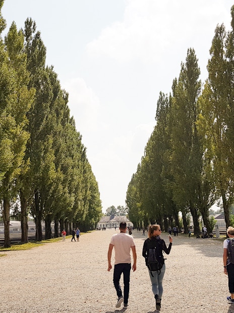 Visitors walking along tree-lined path at Dachau Concentration Camp Memorial Site.