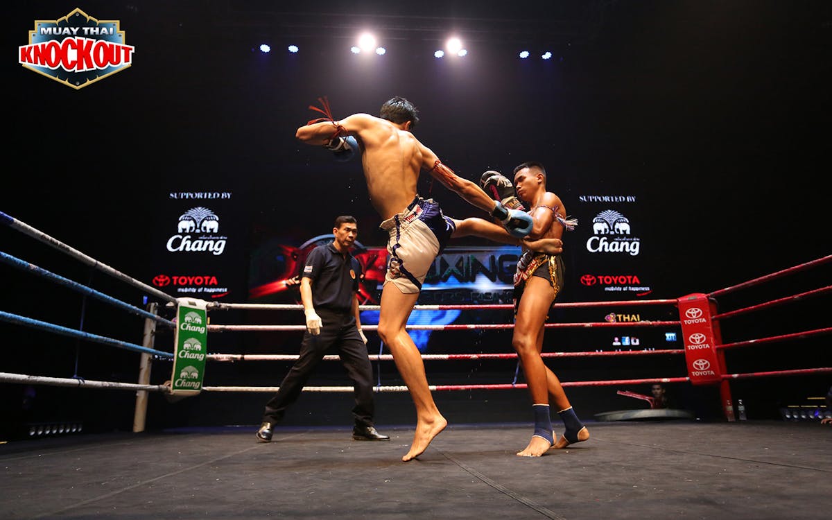 muay thai live: knockout-4 muay thai live: knockout-4
