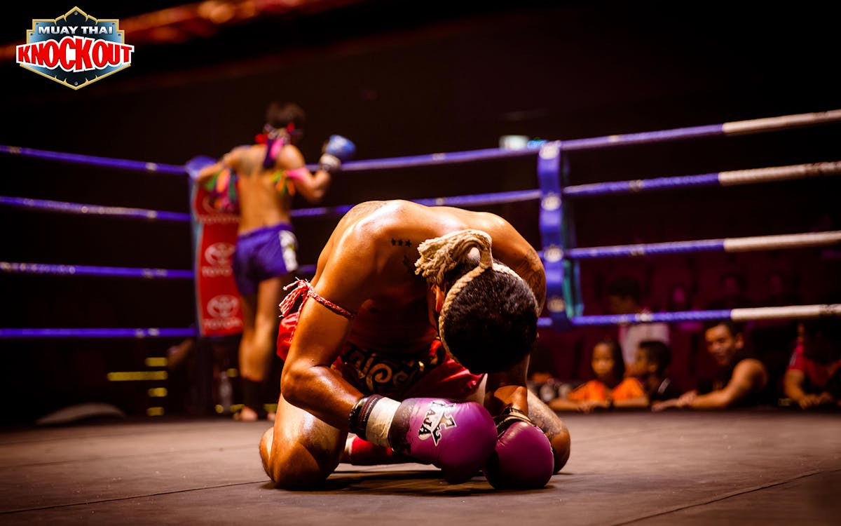 muay thai live: knockout-3 muay thai live: knockout-3