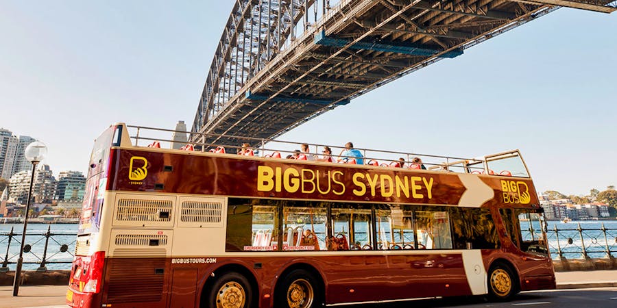 Sydney in November - Sydney Bus Tours