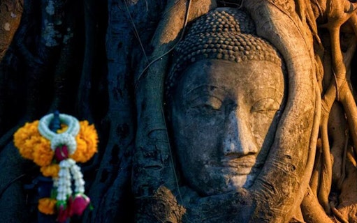 Buddha head entwined in tree roots at Wat Mahathat, Ayutthaya.