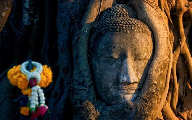Buddha head entwined in tree roots at Wat Mahathat, Ayutthaya.
