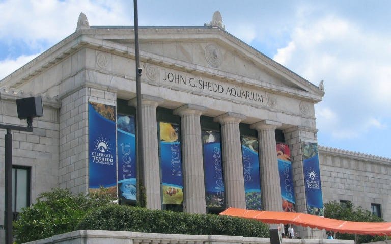 Shedd Aquarium entrance with colorful banners in Chicago.