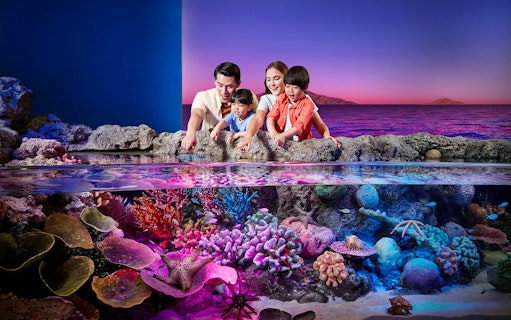 Visitors observing colorful marine life at Sealife Bangkok aquarium exhibit.
