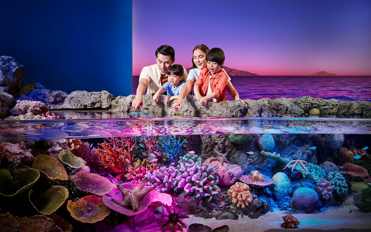 Visitors observing colorful marine life at Sealife Bangkok aquarium exhibit.