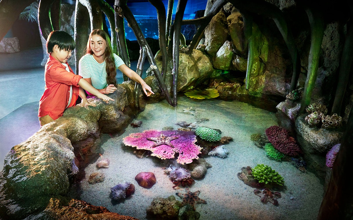 Visitors exploring a touch pool with starfish and coral at Sealife Bangkok.