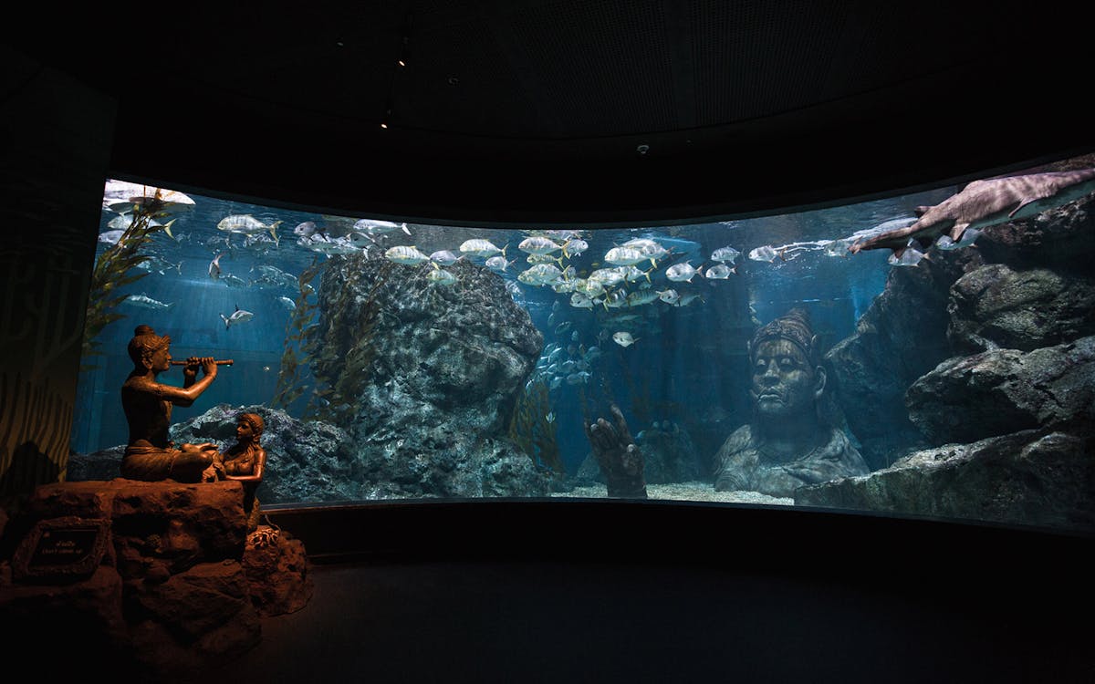 sealife bangkok + madame tussauds bangkok-4 sealife bangkok + madame tussauds bangkok-4