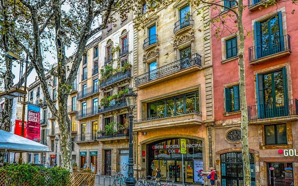 Barcelona Gothic Quarter street with historic buildings and trees.