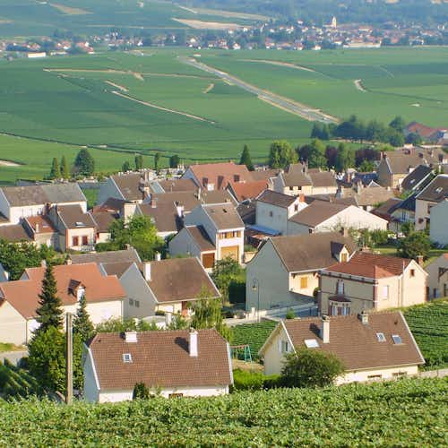 Paris to Champagne Highlights