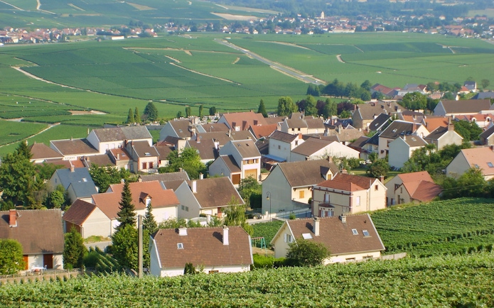 Vineyards and village in Hautvillers, Champagne region, France.