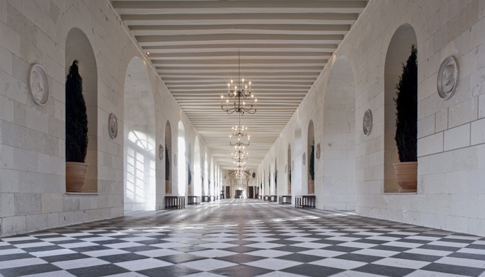 Visita Castelli della Loira