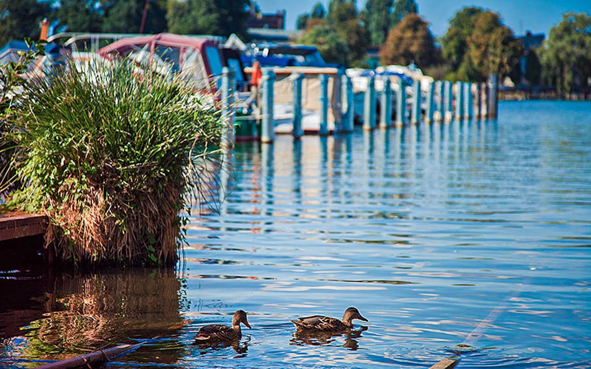 berlim: cruzeiro panorâmico no rio spree - 1 hora-3 berlim: cruzeiro panorâmico no rio spree - 1 hora-3