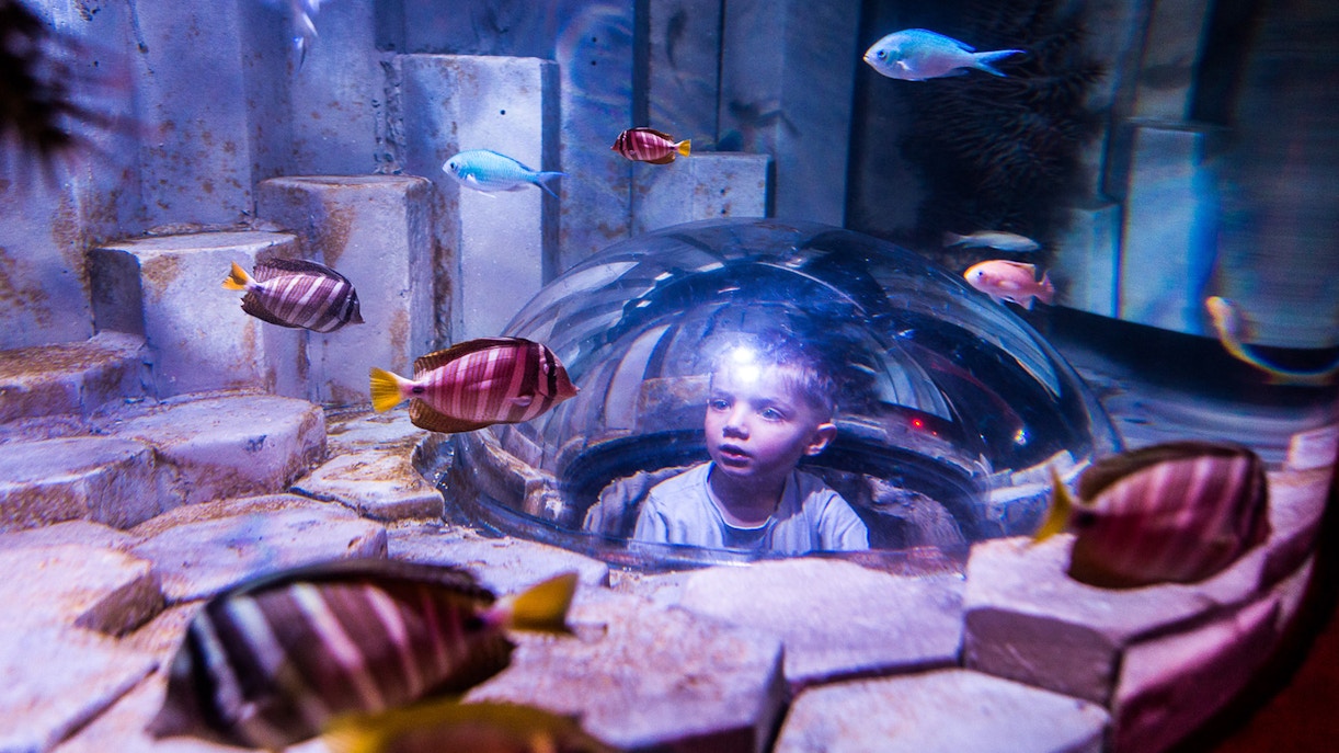 Timings - SEA LIFE Melbourne