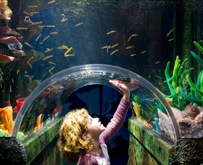 Melbourne travel guide