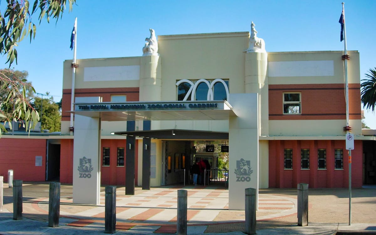 tickets to melbourne zoo-9 tickets to melbourne zoo-9