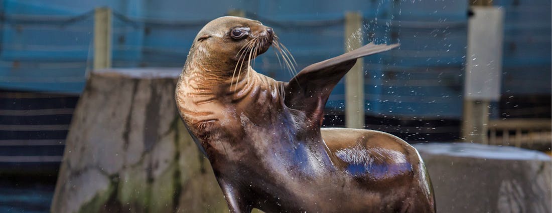 Melbourne Zoo