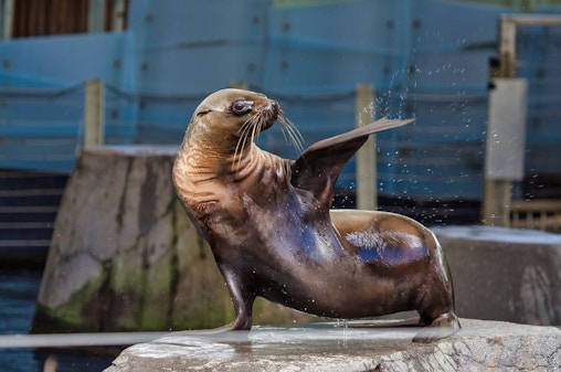 Tickets to Melbourne Zoo