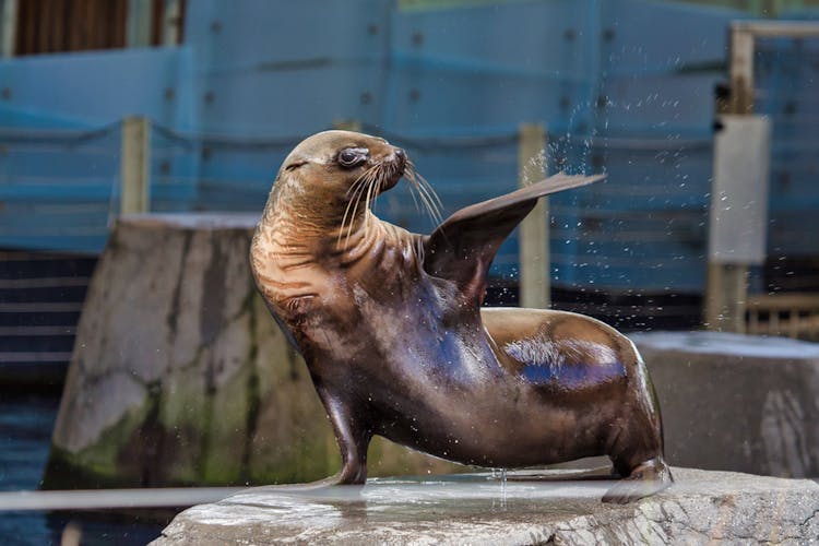  Melbourne Zoo activities