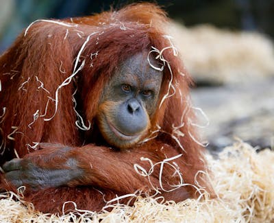 Melbourne travel guide