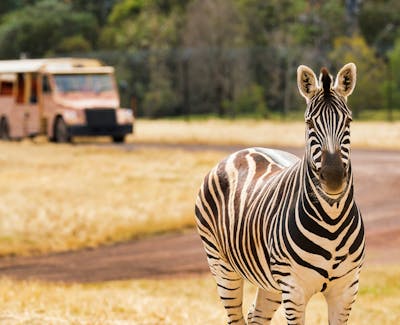 Melbourne travel guide