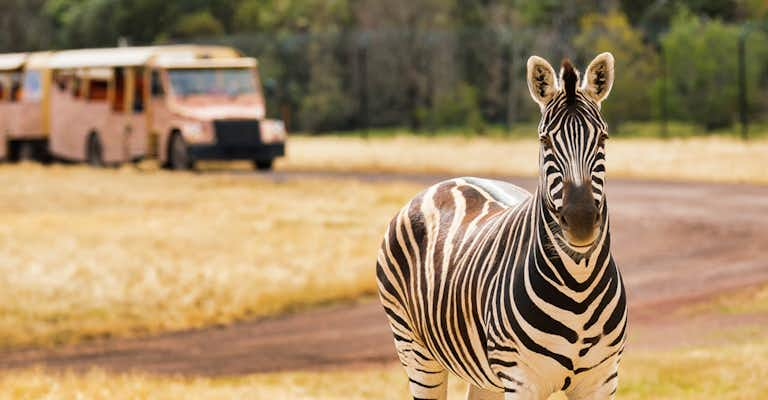 werribee open range zoo