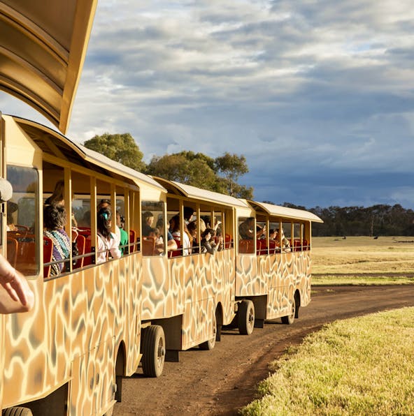 Immerse yourself in wildlife | The Werribee Open Range Zoo guide
