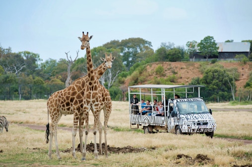 Biglietti per lo zoo di Werribee