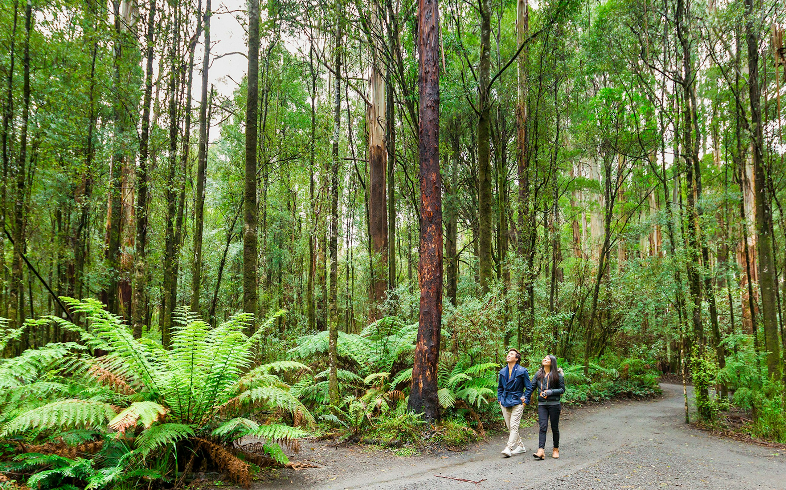 day trips from melbourne