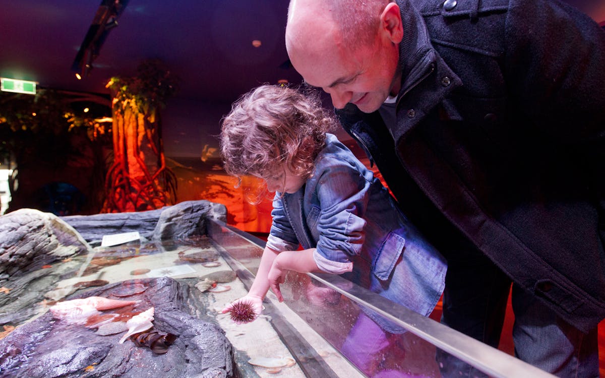 sea life & legoland discovery centre skip the line combo tickets-4 sea life & legoland discovery centre skip the line combo tickets-4