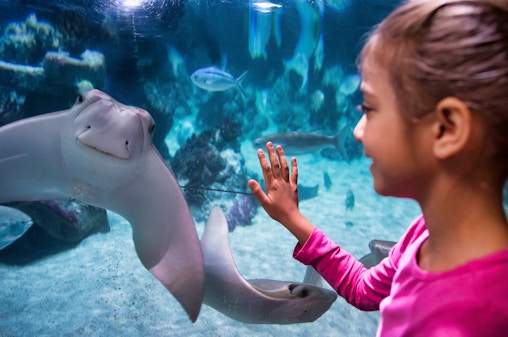 SEA LIFE Berlin Biljetter