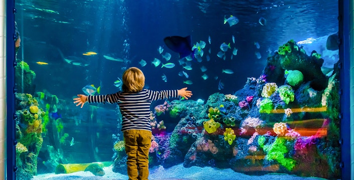 SEA LIFE Berlin Tickets