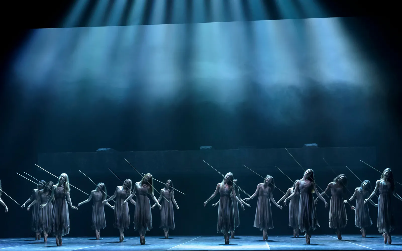 💃 Stunning choreography