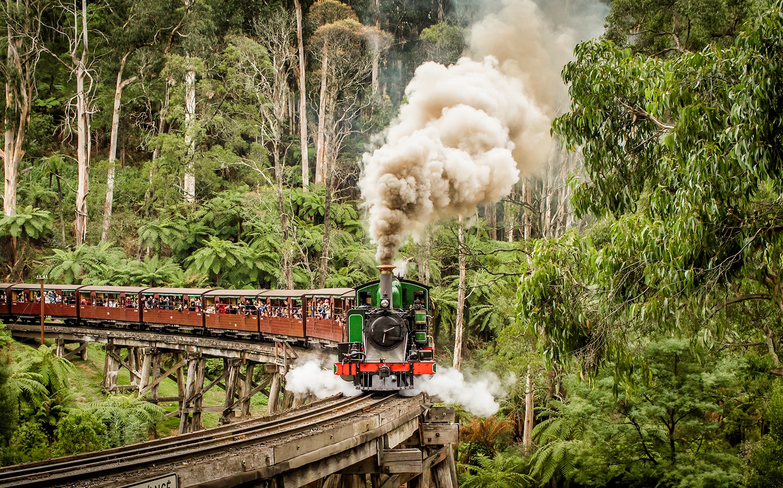 Puffing Billy steam train crossing a trestle bridge in lush forest, Melbourne, Australia.