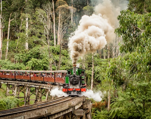 Puffing Billy steam train crossing a trestle bridge in lush forest, Melbourne, Australia.