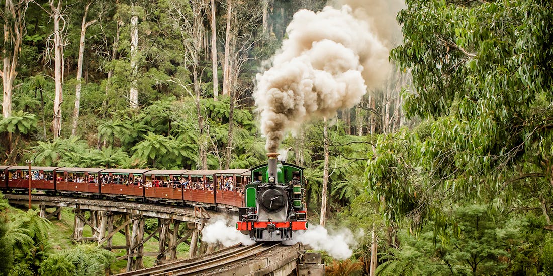 puffing billy railway tour