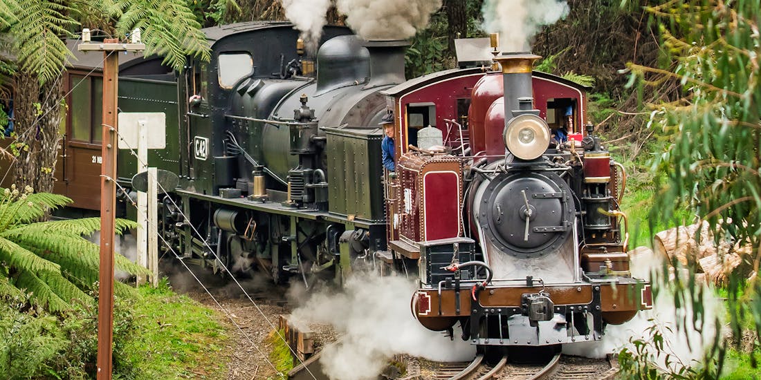 puffing billy railway tour