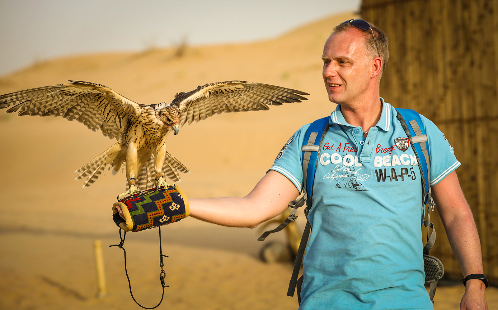 Man holding a falcon in the desert during a 45-minute red dune bashing tour.